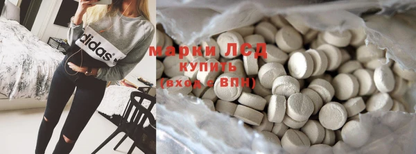 прущие грибы Балабаново