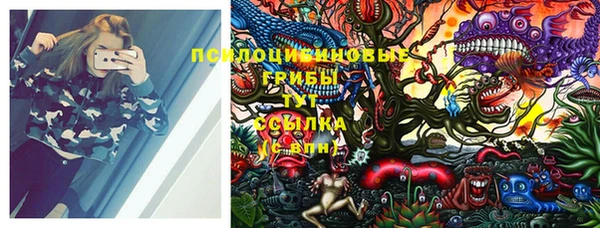 прущие грибы Балабаново